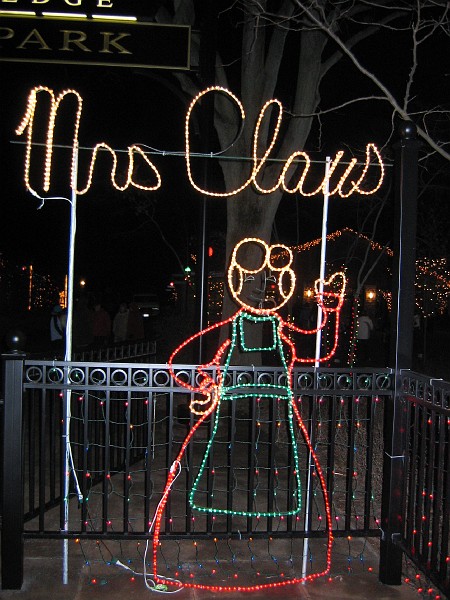 wildlights at zoo 008.jpg